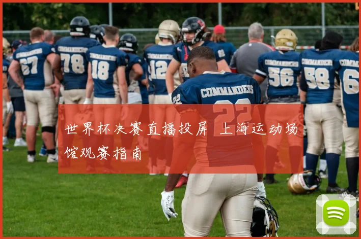 世界杯决赛直播投屏 上海运动场馆观赛指南