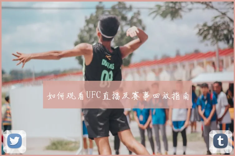 如何观看UFC直播及赛事回放指南