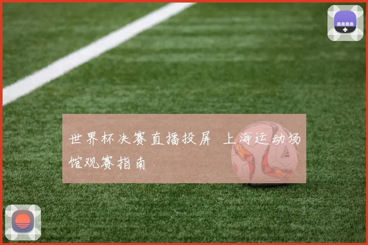 世界杯决赛直播投屏 上海运动场馆观赛指南