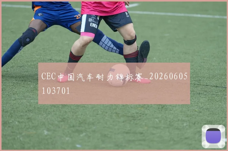 CEC中国汽车耐力锦标赛_20260605103701