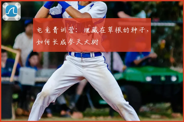 电竞青训营：埋藏在草根的种子，如何长成参天大树